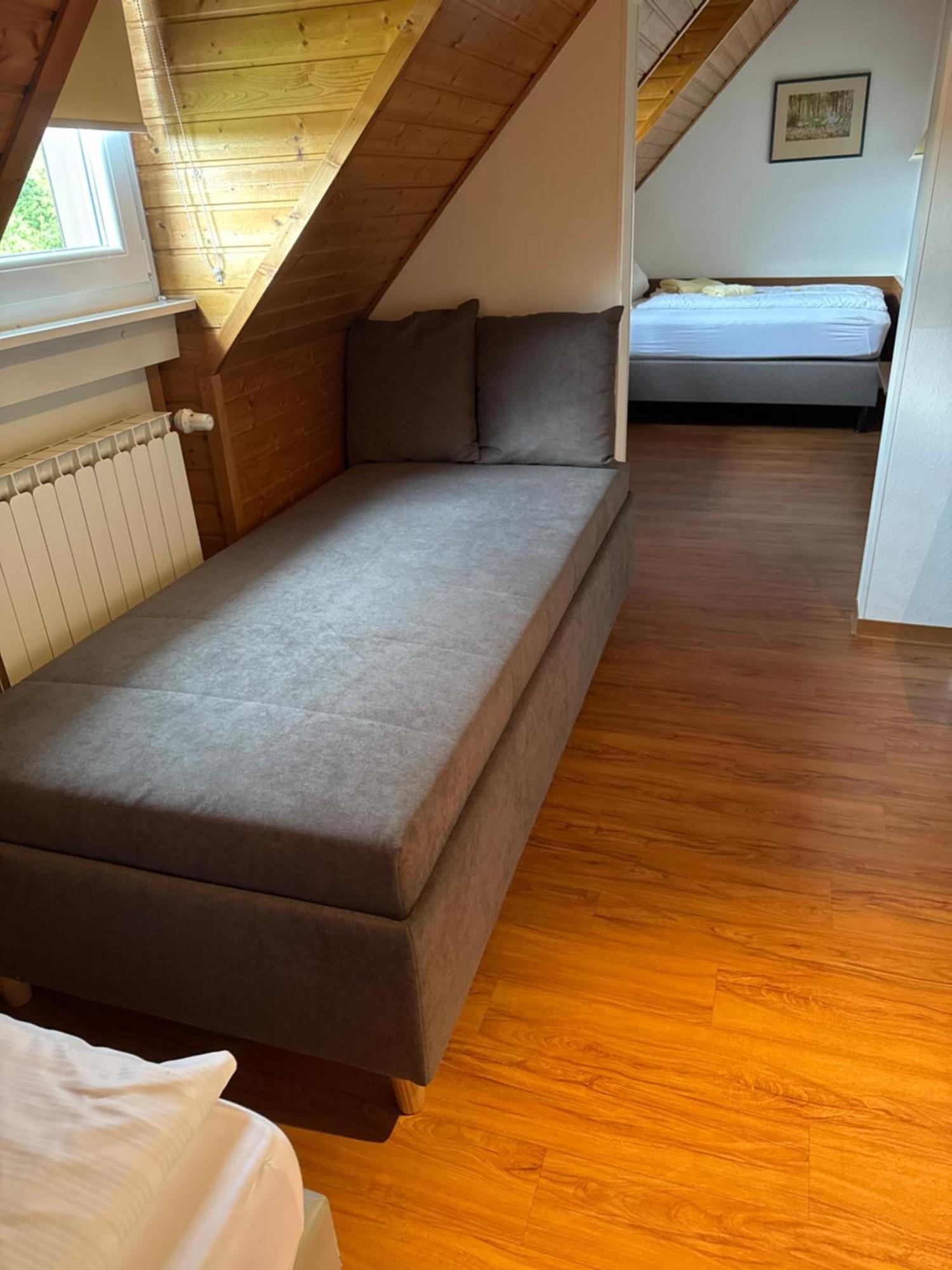 Gaestehaus An Der Rheinbruecke Altlussheim Luaran gambar
